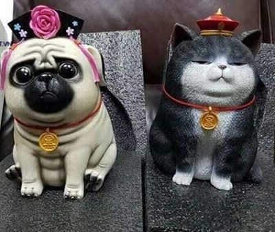 chó mèo bỏ ống 5d